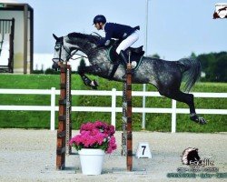 jumper Matruschka vd Caatshoeve (Belgian Warmblood, 2012, from Cooper van de Heffinck)