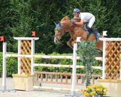 jumper Nino Rouet (Sella Italiano, 2006, from Baloubet du Rouet)