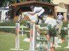 horse Grey di Val Litara (Italian Warmblood, 2002, from Avenir)