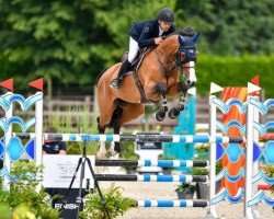 jumper Chac Girl PS (Oldenburg show jumper, 2016, from Exelero 2)