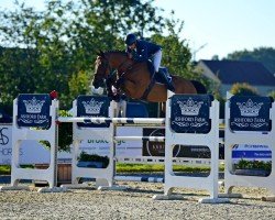 Springpferd Luna van de Hoeve (Belgisches Warmblut, 2011, von Epleaser van het Heike)