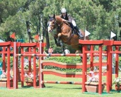 jumper Nico H (KWPN (Royal Dutch Sporthorse), 1995, from Holland)