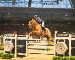 jumper Crack van Overis Z (Zangersheide riding horse, 2006, from Couleur Rubin)