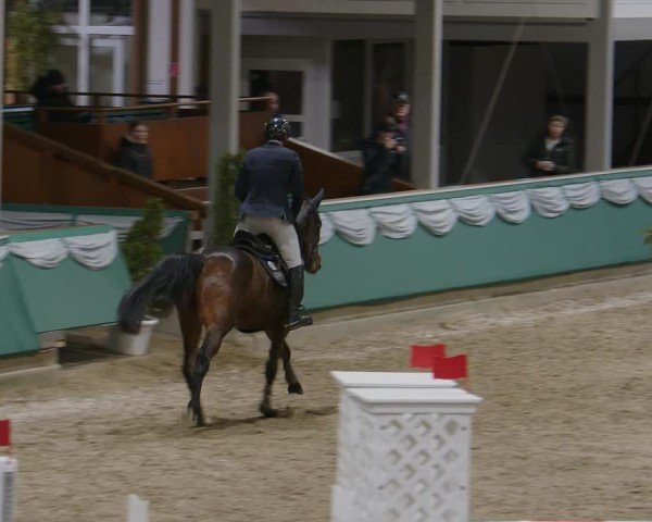 Reitturnier Gahlen 2025