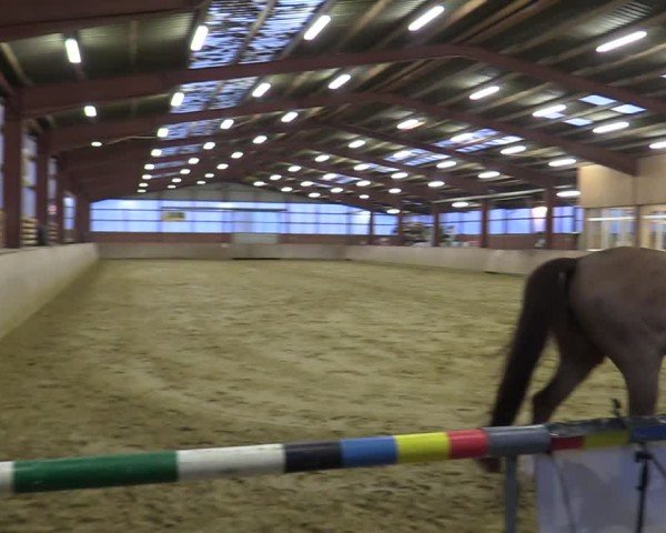 Reitturnier Ostenfelde-Vornholz 2025