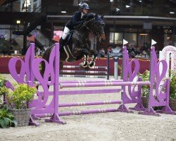 jumper Cicero Blue (Zangersheide riding horse, 2016, from Cicero Z van Paemel)