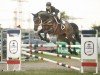 jumper Con Corado AB (Oldenburg show jumper, 2014, from DSP Con Spirit)