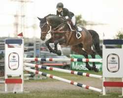 jumper Con Corado AB (Oldenburg show jumper, 2014, from DSP Con Spirit)