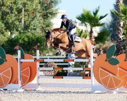 broodmare Big Moon Rising vd Mittelerde (Oldenburg show jumper, 2016, from Big Star)