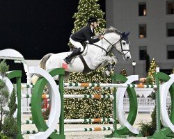 jumper Zechariah (KWPN (Royal Dutch Sporthorse), 2014, from Zirocco Blue)