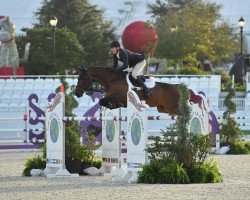 jumper Dijon Terdoorn Z (KWPN (Royal Dutch Sporthorse), 2011, from Diamant de Semilly)