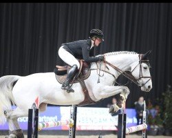 jumper Let It Be (KWPN (Royal Dutch Sporthorse), 2016, from Kannan)