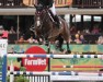 jumper Balotelli 5 (Hanoverian, 2010, from Balou du Rouet)