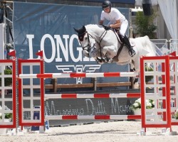 broodmare Manodie II H (Oldenburg show jumper, 2005, from Carthago)