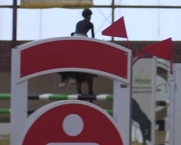 Reitturnier Ostenfelde-Vornholz 2025