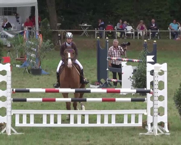 Radolfzell 2013 - Reit- und Springturnier des RC Bodenseereiter