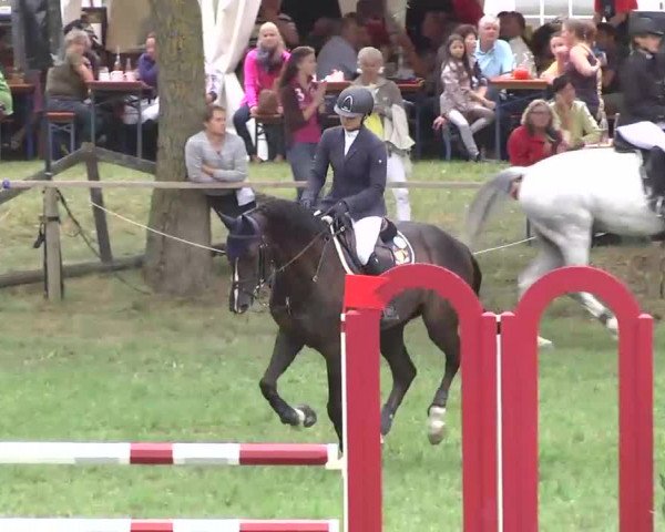 Radolfzell 2013 - Reit- und Springturnier des RC Bodenseereiter
