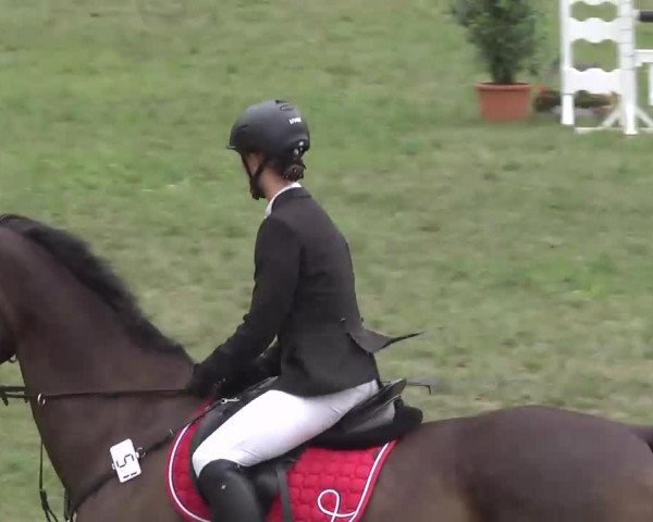 Radolfzell 2013 - Reit- und Springturnier des RC Bodenseereiter