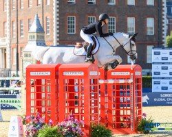 broodmare Manodie II H (Oldenburg show jumper, 2005, from Carthago)