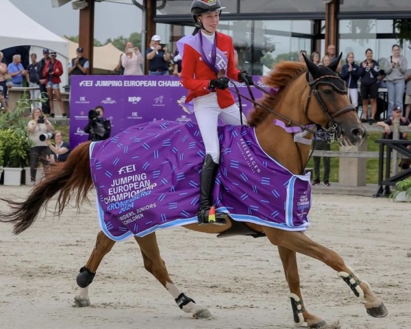 Springpferd Carrero T Z (Zangersheide Reitpferd, 2012, von Carrera VDL)