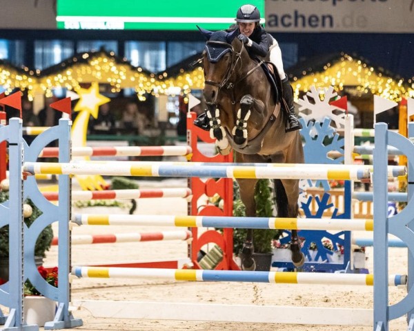 jumper Hero Flicka (Hanoverian, 2014, from Perigueux)