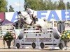 jumper Codendro (Oldenburg show jumper, 2014, from Codex One)