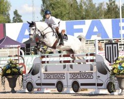 jumper Codendro (Oldenburg show jumper, 2014, from Codex One)