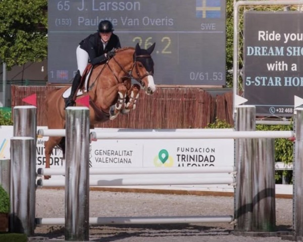 Springpferd Paulette van Overis (Belgisches Warmblut, 2015, von Tangelo van de Zuuthoeve)