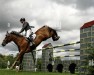 broodmare Contesse-S Z (Zangersheide riding horse, 2000, from Carthago)