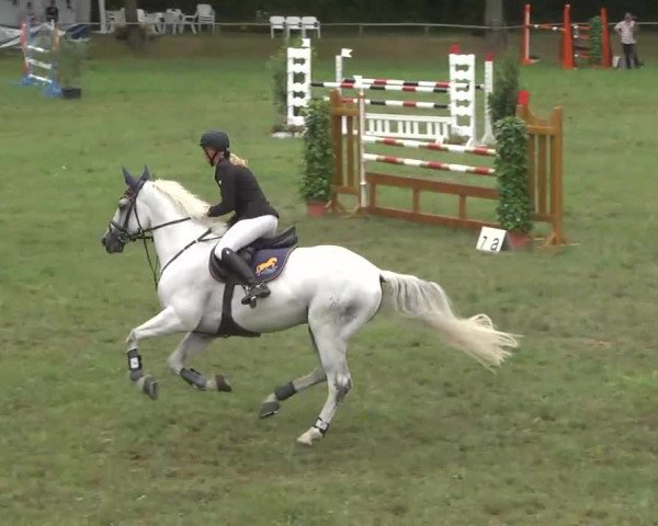 Radolfzell 2013 - Reit- und Springturnier des RC Bodenseereiter