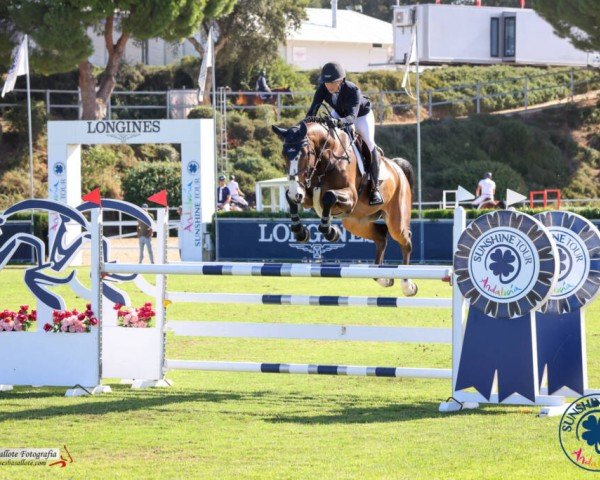 jumper A Billion Boy Vh Distelhof Z (Zangersheide riding horse, 2017, from Aganix du Seigneur)