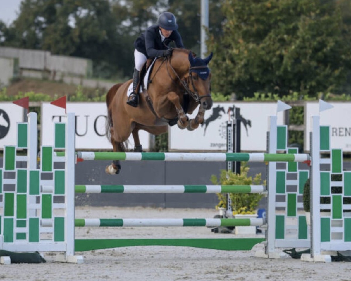 jumper Comtado (Holsteiner, 2017, from Comme il Faut)
