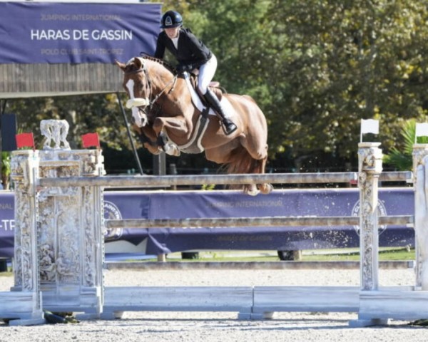 jumper EIC Lloyd (Oldenburg show jumper, 2015, from Lord Pezi Junior)