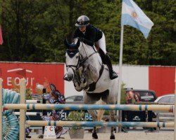 jumper Kamille (KWPN (Royal Dutch Sporthorse), 2015, from Comme il Faut)