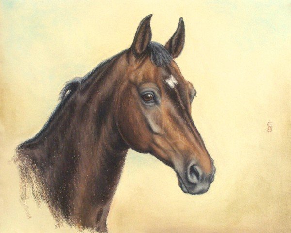 Zuchtstute Pasaia CH (Schweizer Warmblut, 1997, von Calando II)