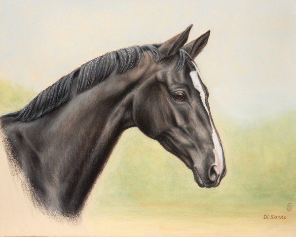 dressage horse Di Santo 3 (Hanoverian, 2011, from Dancier)