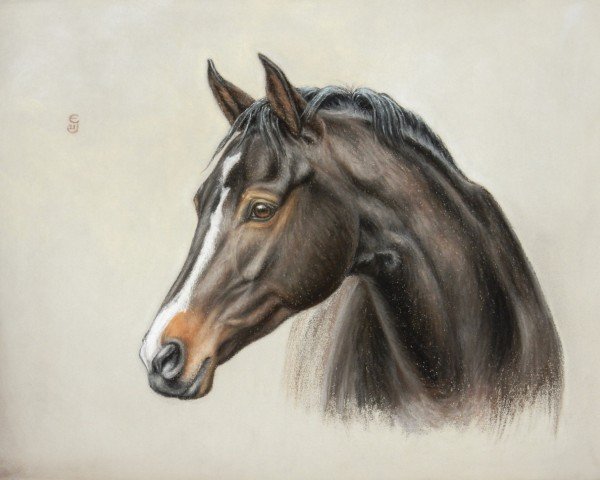 Dressurpferd Aramon de Blancpierre CH (Schweizer Warmblut, 2014, von Ampère)