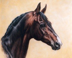 stallion Pik Holiday (Hanoverian, 1989, from Pik Bube I)