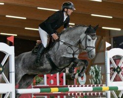 jumper Cisay - O (German Sport Horse, 2018, from Cristallo I)