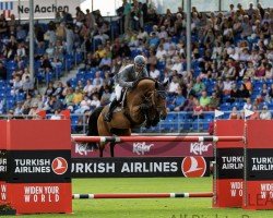 Springpferd Kate Slottie (KWPN (Niederländisches Warmblut), 2015, von Etoulon VDL)