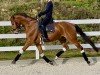 dressage horse Sir Siegfried 25 (Westphalian, 2020, from Sir Heinrich OLD)