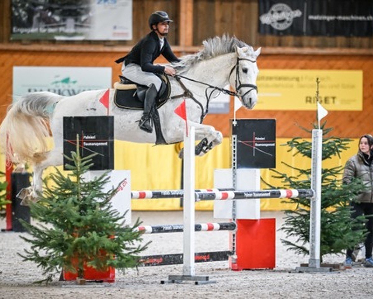 jumper Cornet’s D’Amour (Holsteiner, 2015, from Cornet Obolensky)