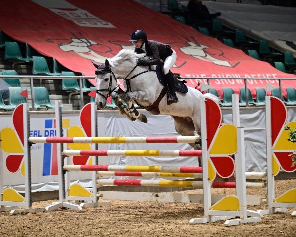 jumper Vidal (German Sport Horse, 2017, from Vancouver d'Auvray)