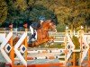 jumper Doodljump (German Riding Pony, 2013, from Dreidimensional AT NRW)