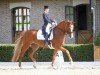 dressage horse La Lopez 2 (Rhinelander, 2006, from Lord Loxley I)