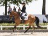 dressage horse Lana Lo2P (German Riding Pony, 2019, from Fs Numero Uno)