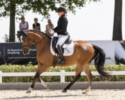 dressage horse Lana Lo2P (German Riding Pony, 2019, from Fs Numero Uno)