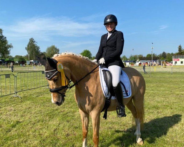 dressage horse Deluxe K (German Riding Pony, 2018, from Derano B)