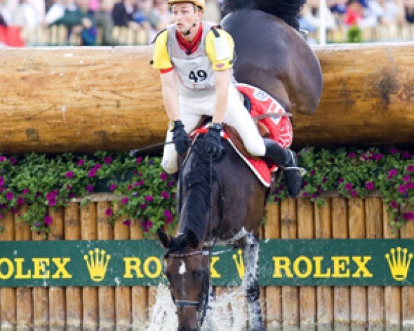 Pferd Miss Ferrari (Irish Sport Horse, 1995, von Katies Pride)