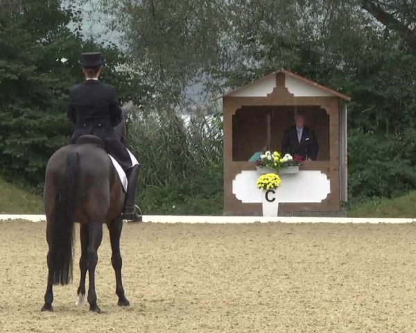 Radolfzell 2013 - Reit- und Springturnier des RC Bodenseereiter